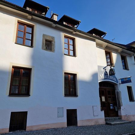 Pension U Martina Domazlice Luaran gambar